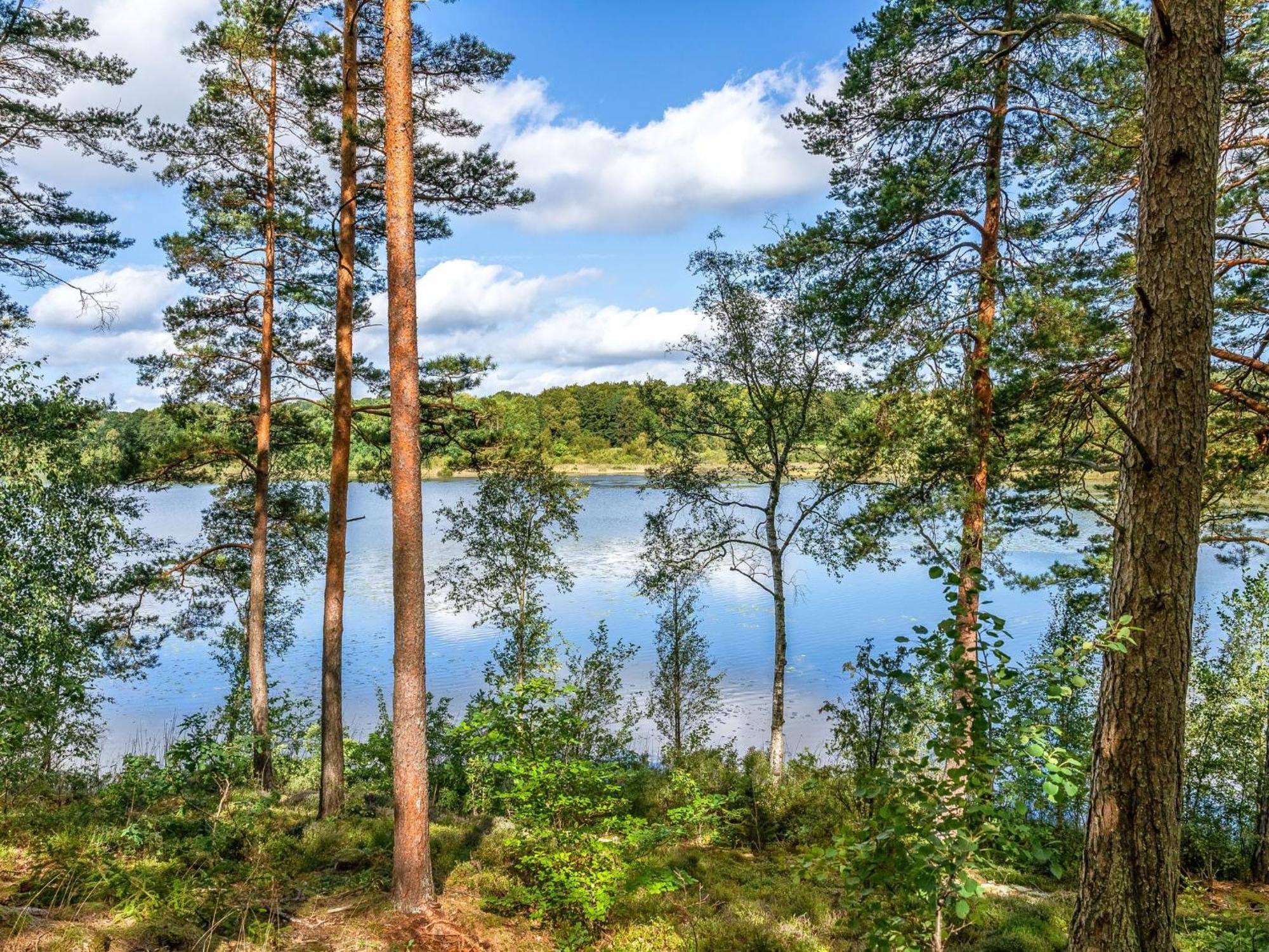 Holiday Home Gaslunda - BLE117 Olofström Eksteriør bilde